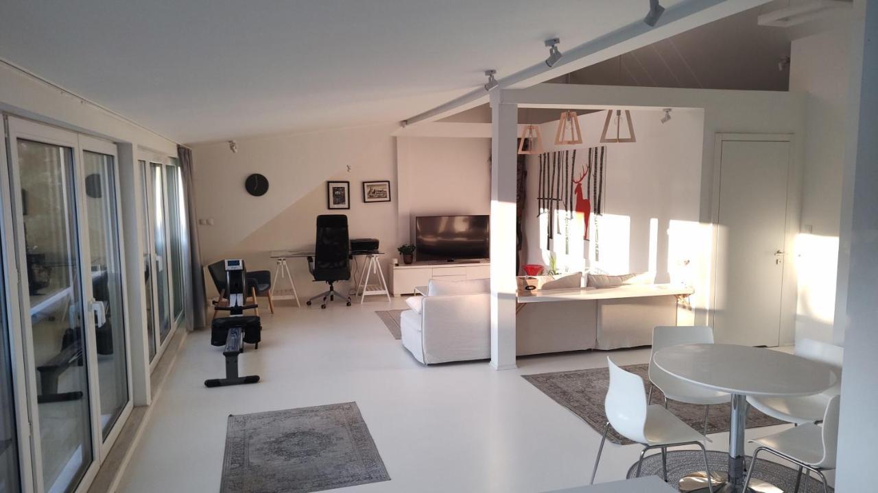 Loft 85 M2 Wilanow Krolewski Self Checkin 바르샤바 외부 사진